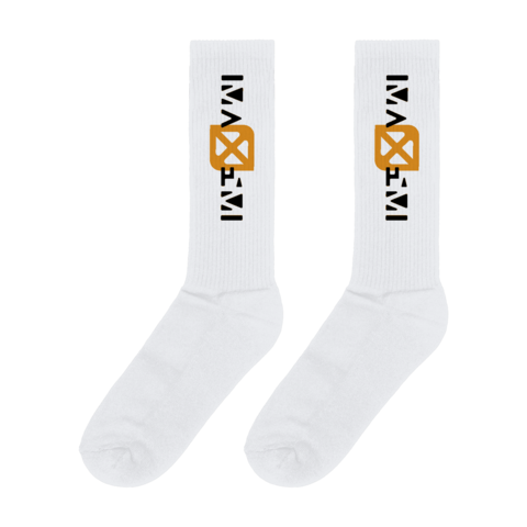 Logo von Maxim - Socken jetzt im Bravado Store