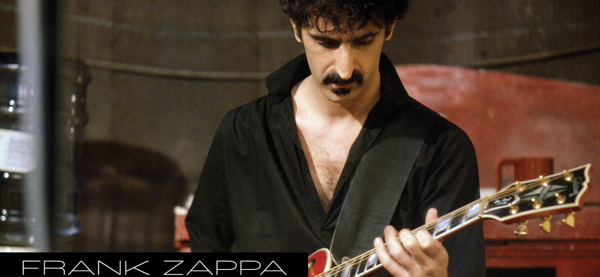 Frank Zappa Kat