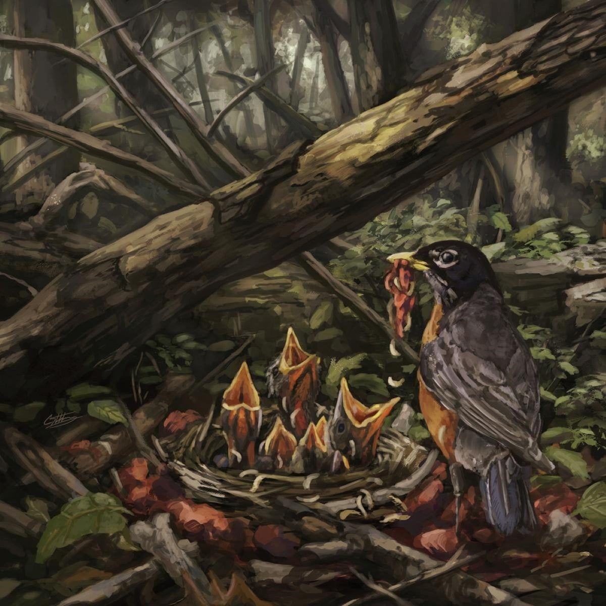 Acacia Strain,The Step Into The Light Vinyl 426412