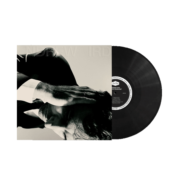Andrew Bird - Inside Problems (Vinyl)