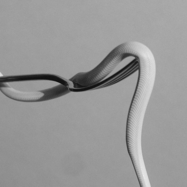 Animals As Leaders - PARRHESIA (BLACK IN BABY BLUE in Ultra Clear LP) (Vinyl)