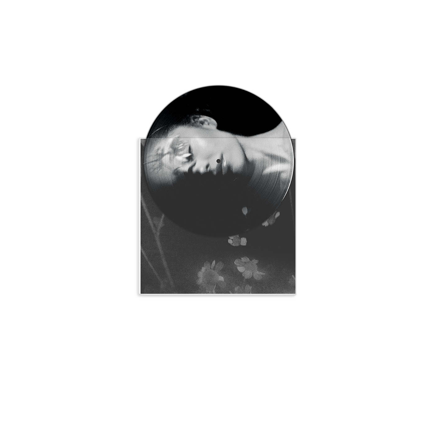 Ariana Grande petal exclusive picture disc Vinyl 453035