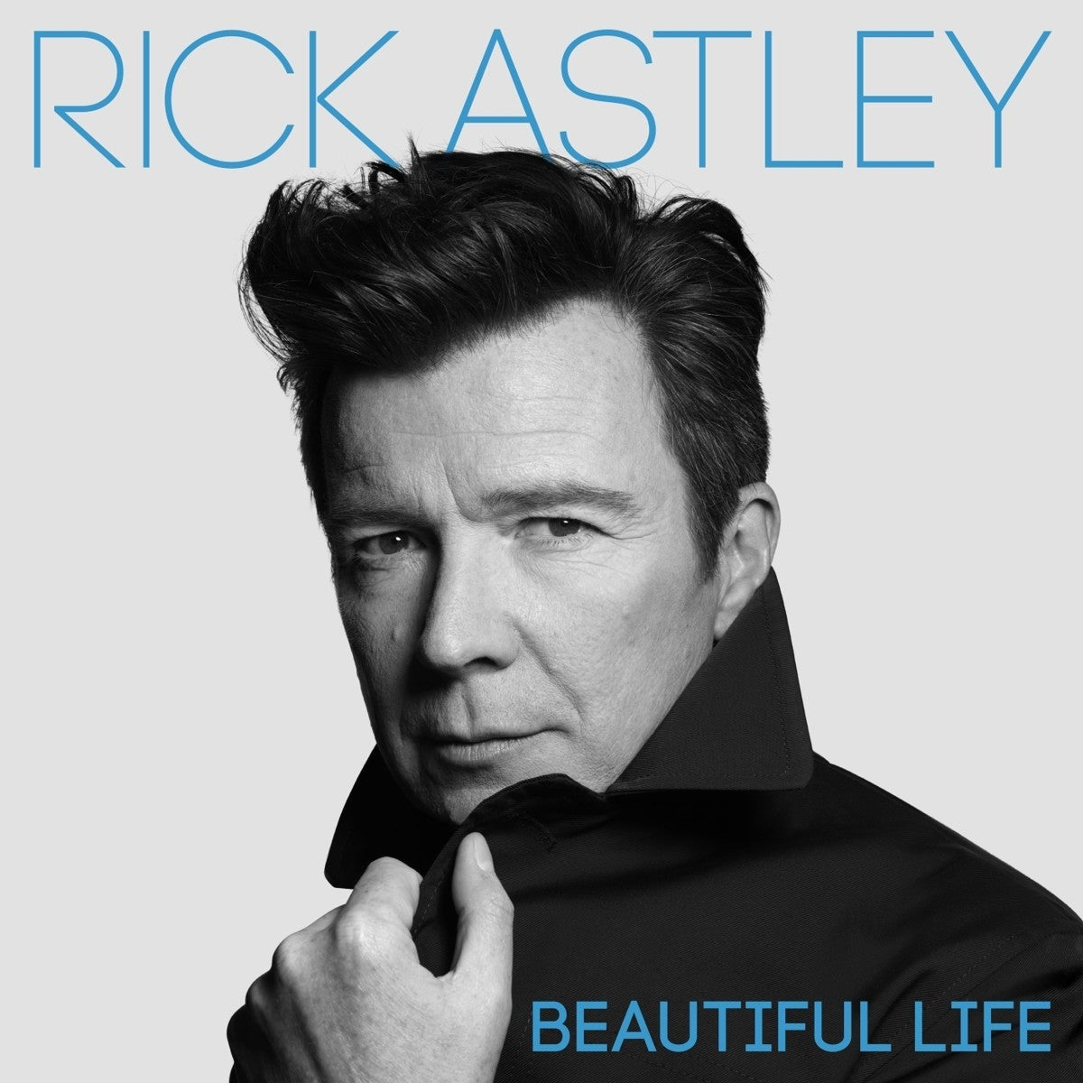 Astley,Rick Beautiful Life Vinyl 426480
