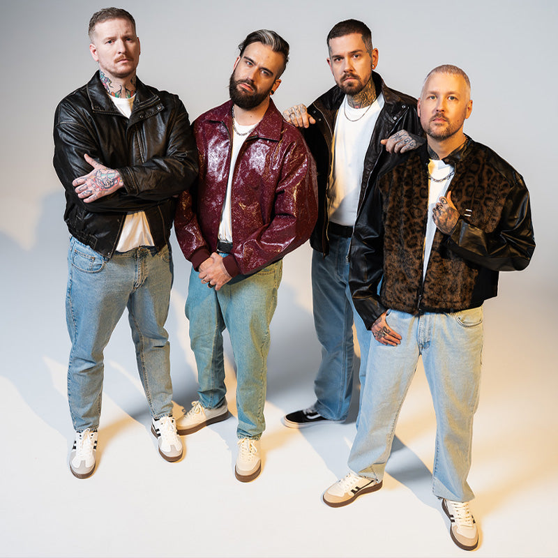 Portrait of Samurai Pizza Cats