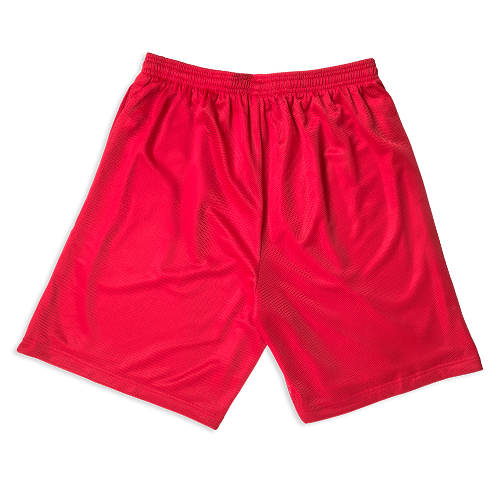 Billie Eilish HIT ME HARD MESH SHORTS Shorts 395915