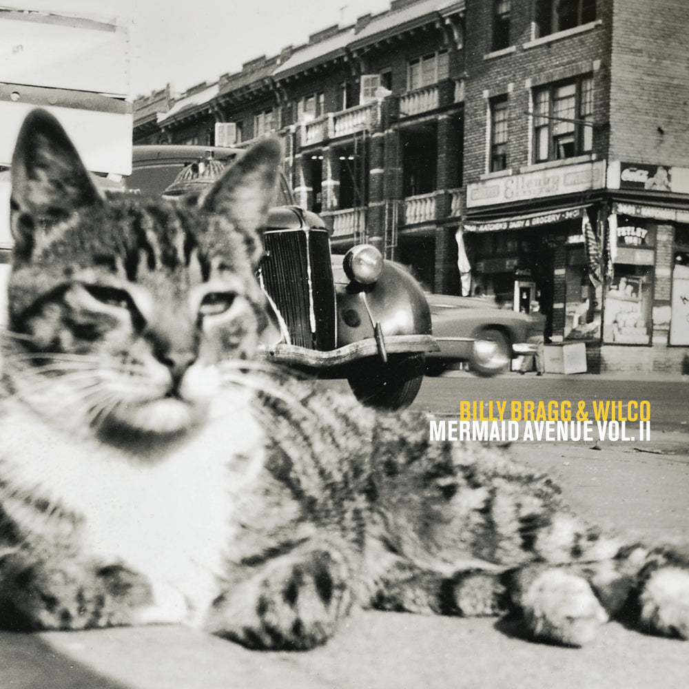Billy Bragg & Wilco Mermaid Avenue Vol. II Vinyl 2LP 462177