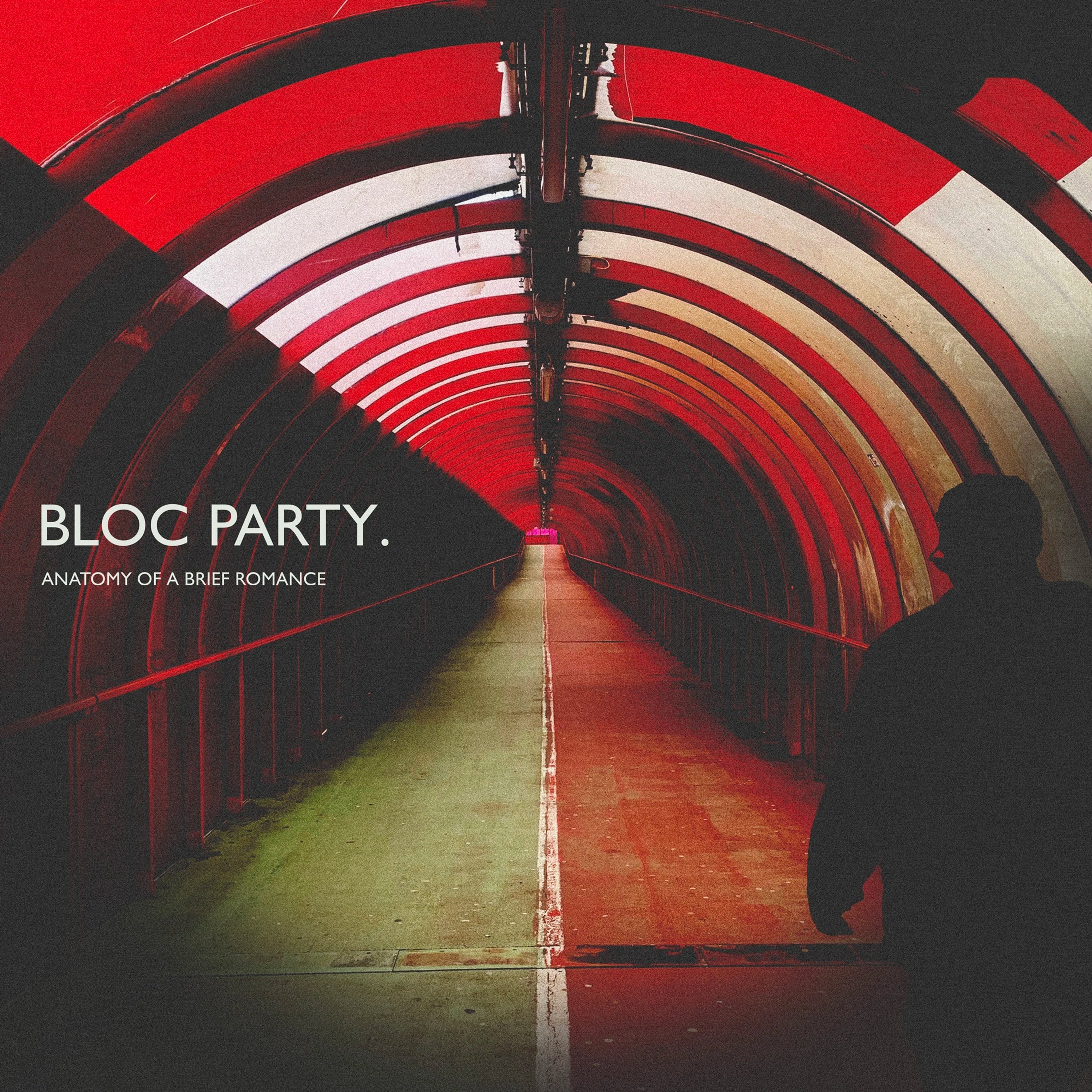 Bloc Party Anatomy Of A Brief Romance Recycled Black Vinyl LP 454757