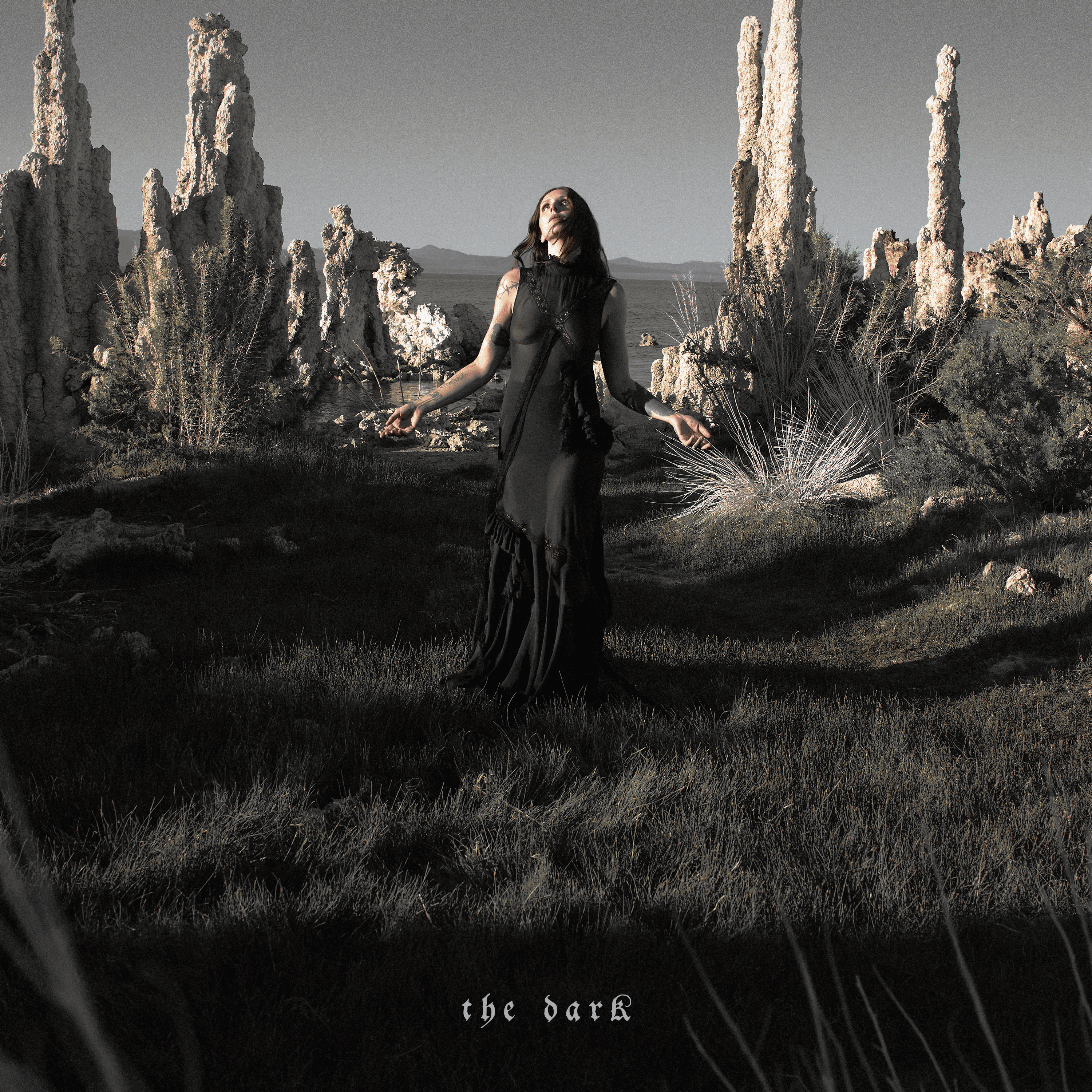 Chelsea Wolfe The Dark 1CD 453997