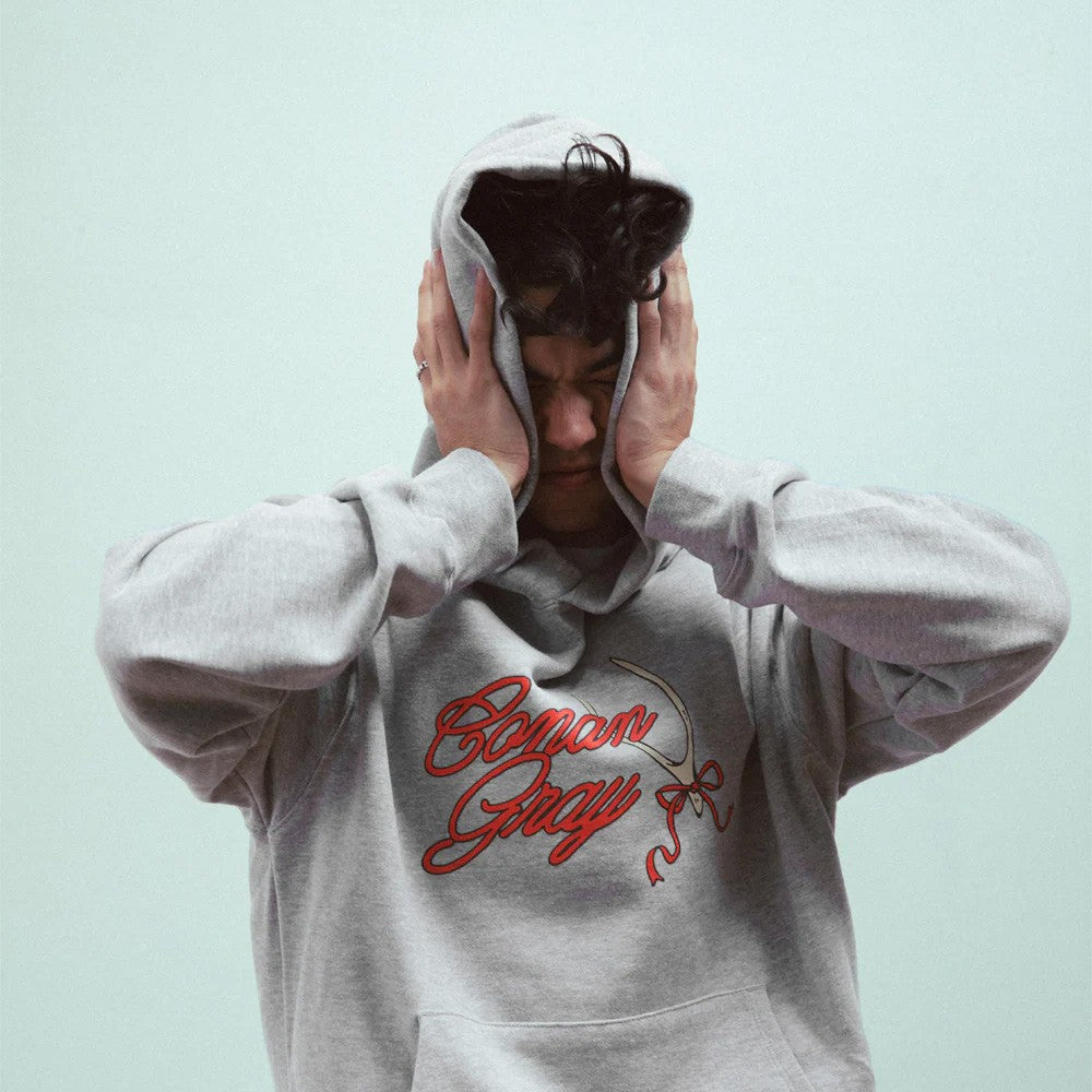 Conan Gray Conan Gray Red Ribbon Wishbone Hoodie Hoodies 417014