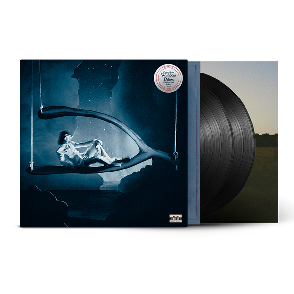 Conan Gray - Wishbone Deluxe 2LP (Midnight Black Edition) (Deluxe 2LP (Midnight Black Edition))