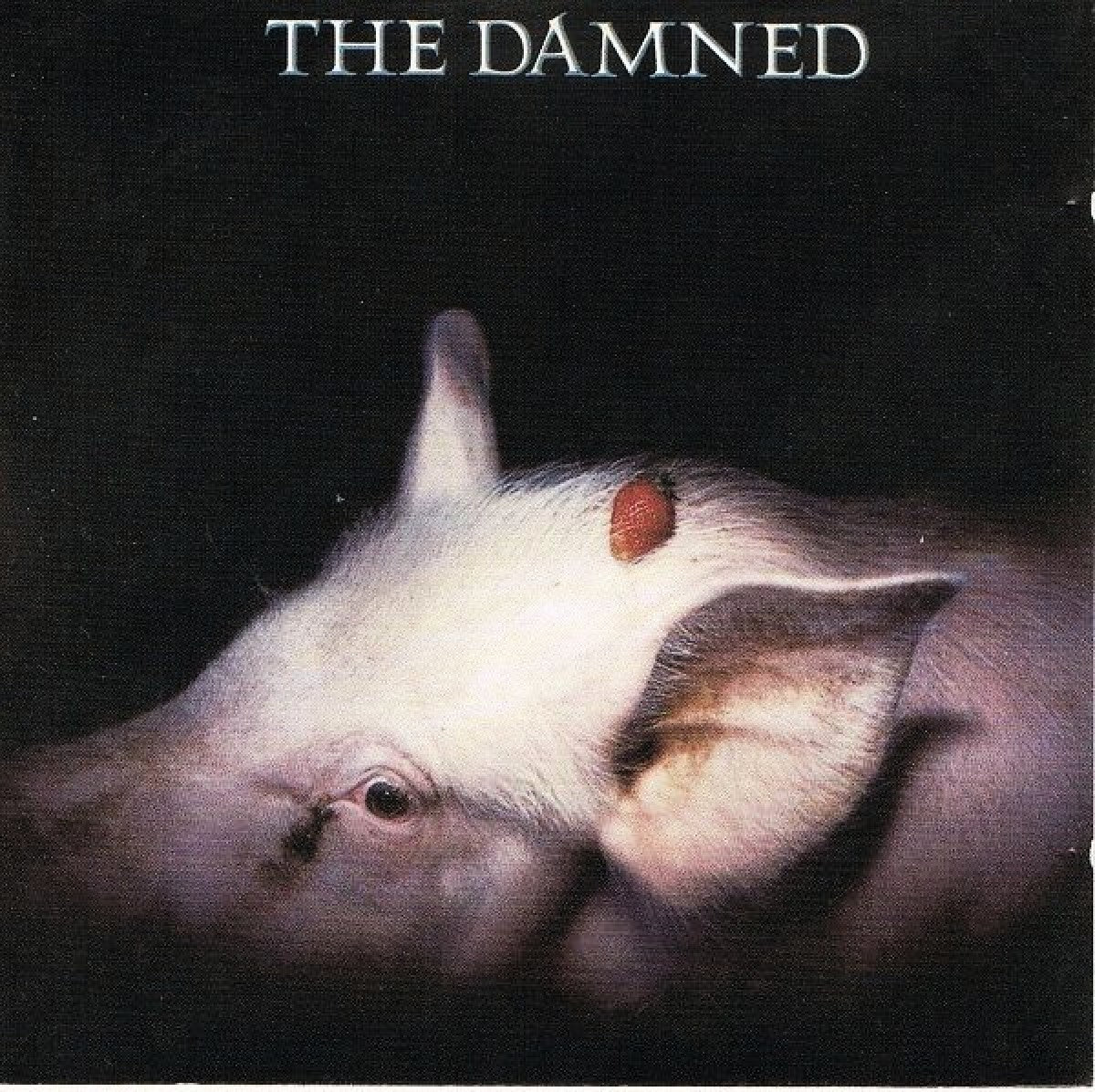 Damned,The Strawberries Vinyl 426656