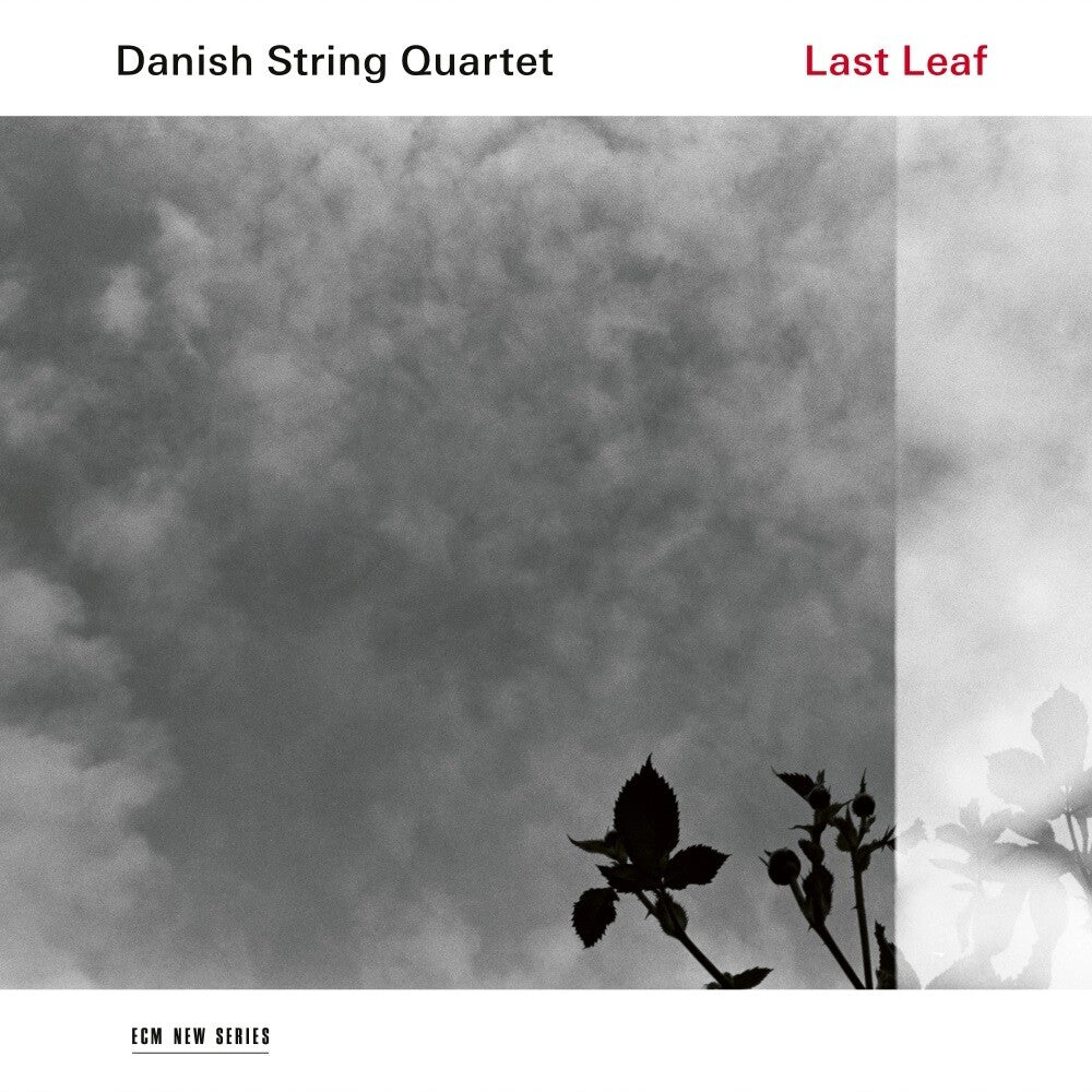 Danish String Quartet Last Leaf LP 366713
