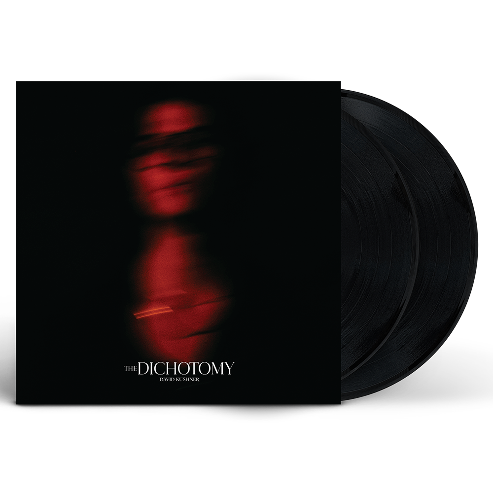 David Kushner The Dichotomy 2LP - Standard 366214