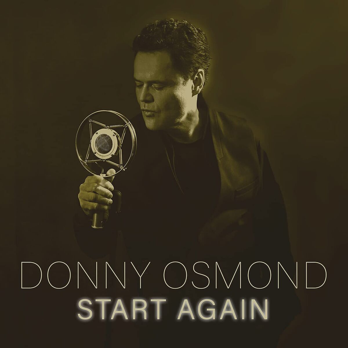 Donny Osmond Start Again (LP) Vinyl LP 455977