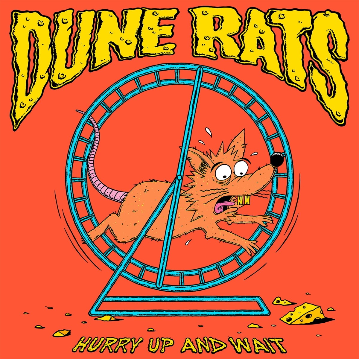 Dune Rats Hurry Up And Wait (Animated Picture Vinyl) Vinyl 427228
