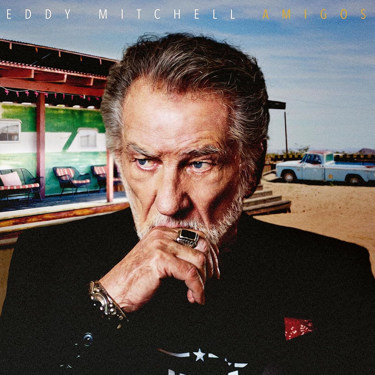 Eddy Mitchell Amigos (LP) Vinyl LP 455925