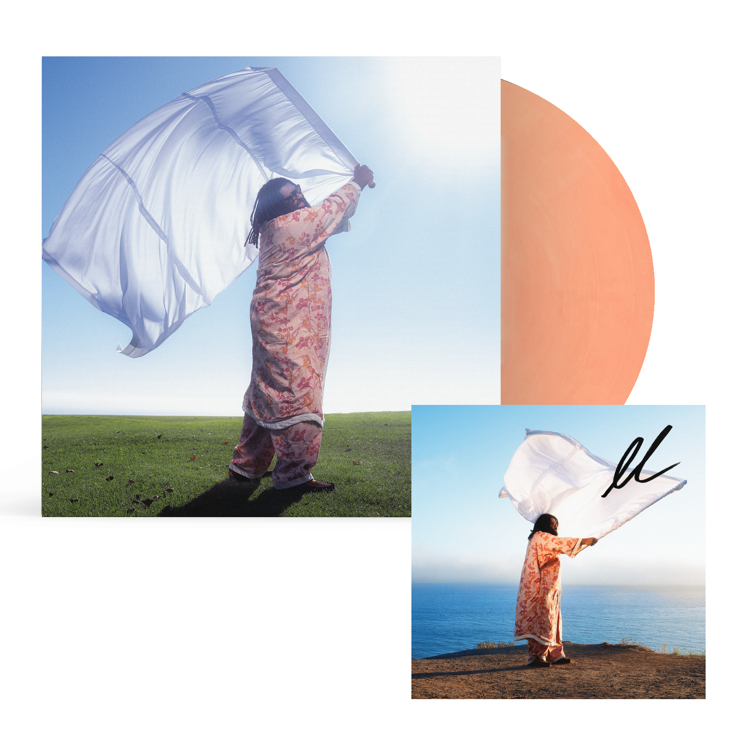 Elmiene Sounds For Someone  Alternative Artwork Orange LP + Signed Art Card 433463