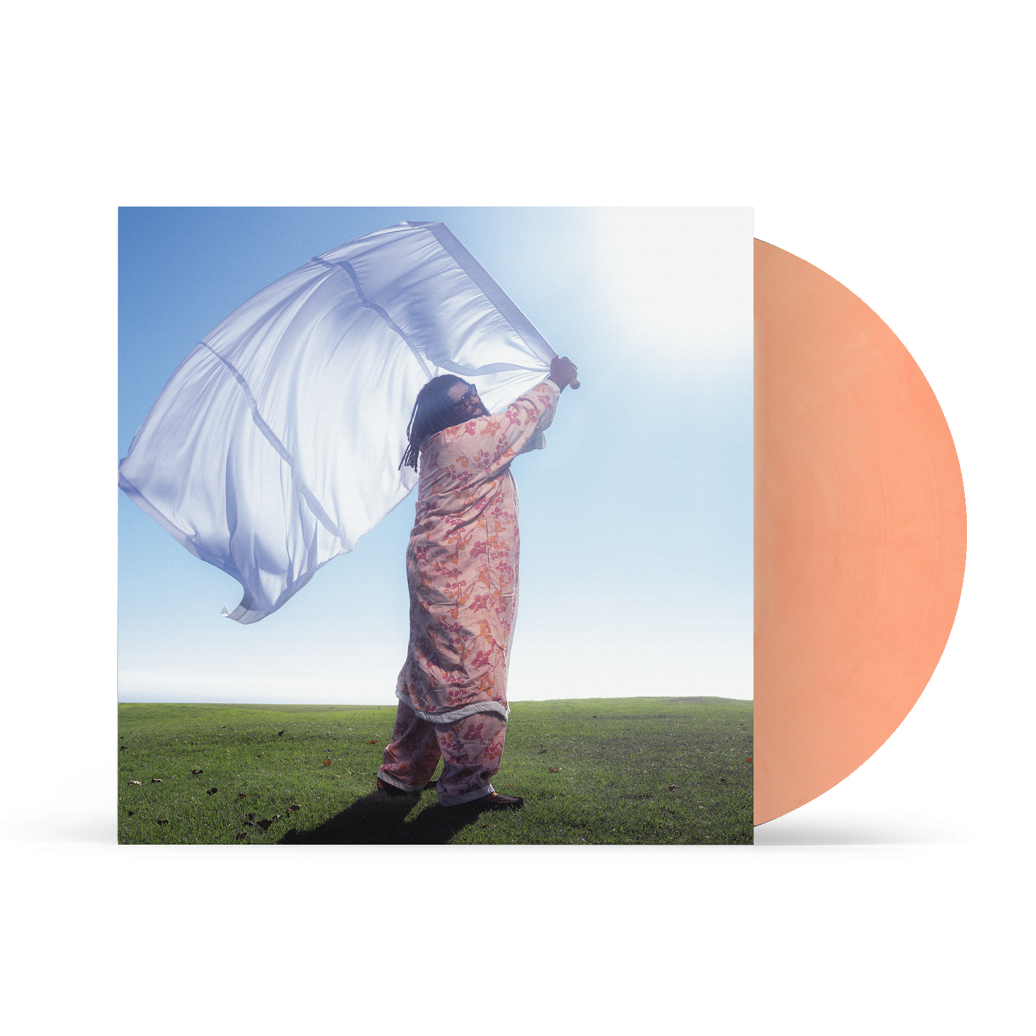 Elmiene Sounds For Someone  Alternative Artwork Orange LP 433301