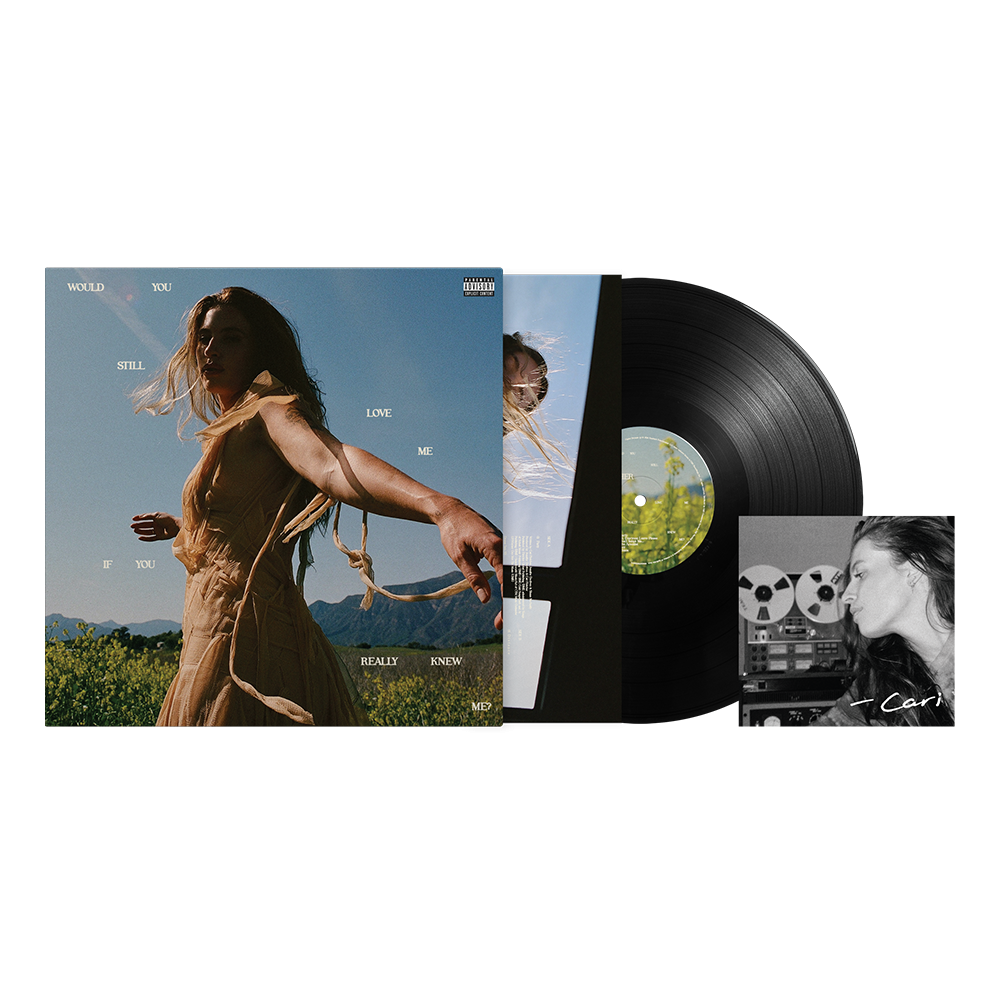 Fletcher Would You Still Love Me If You Really Knew Me? Vinyl + Signed Art Card Vinyl + Signed Art Card 416084