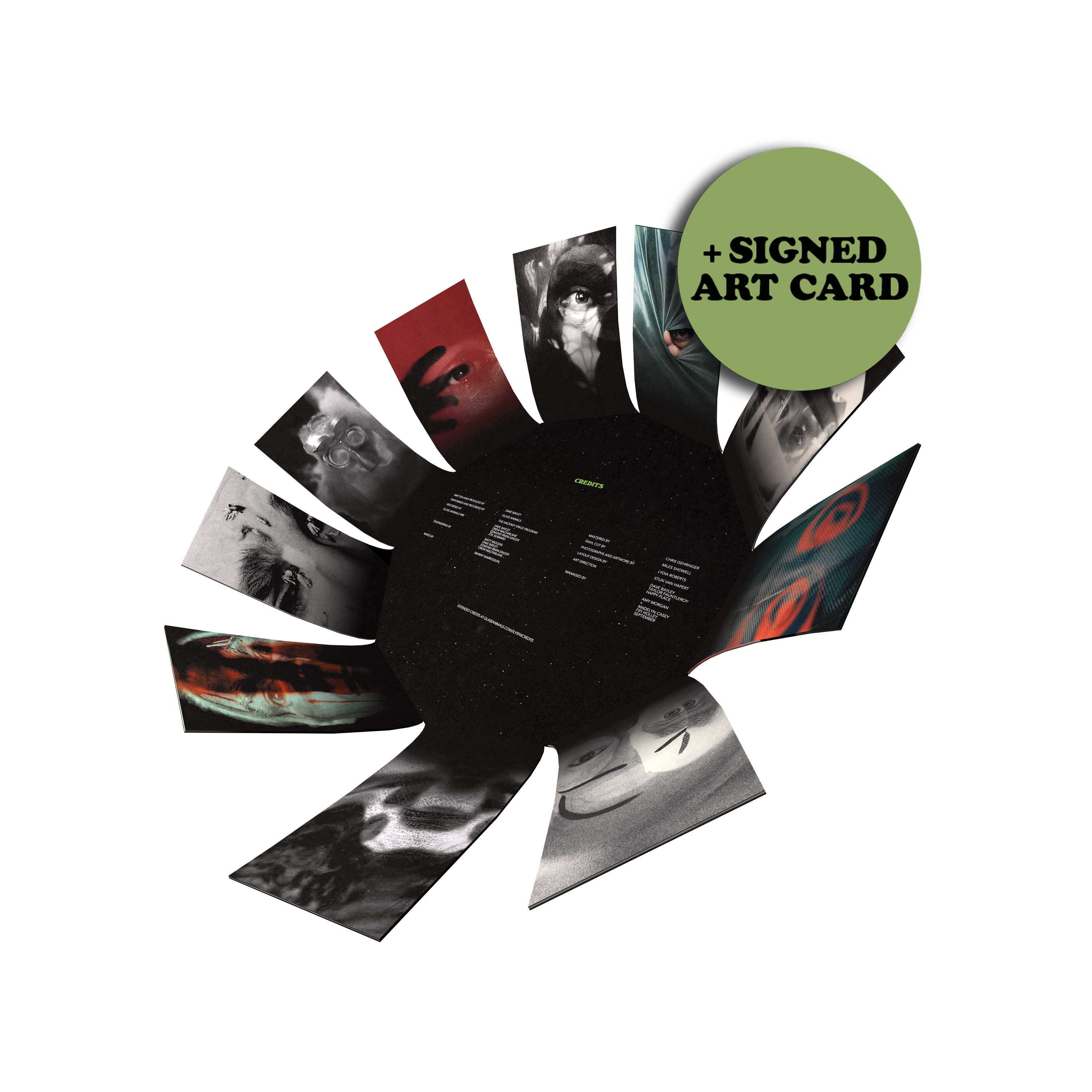 Glass Animals I Love You So F***ing Much Decagon Vinyl + Signed Art Card 354073