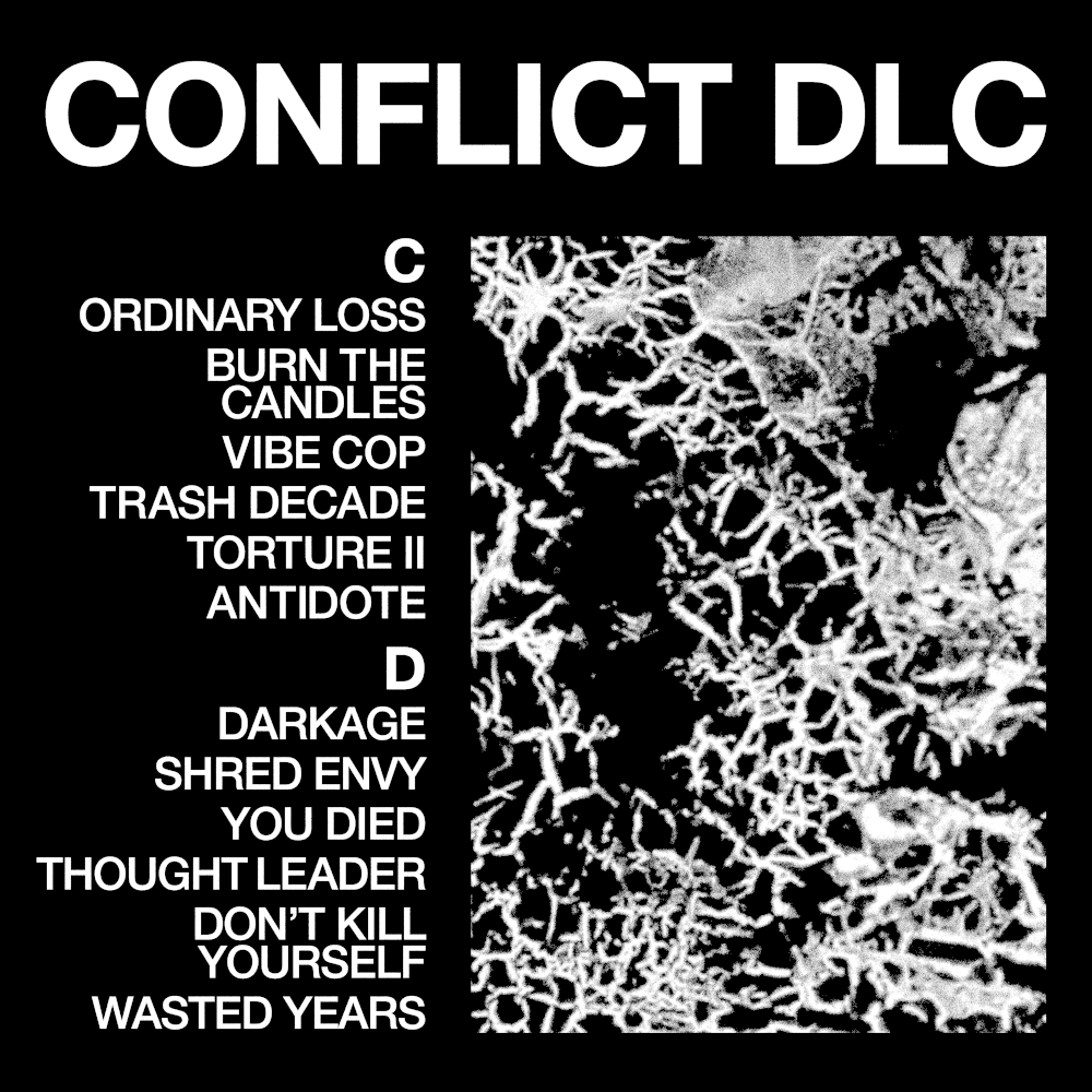 HEALTH CONFLICT DLC  Vinyl 431569