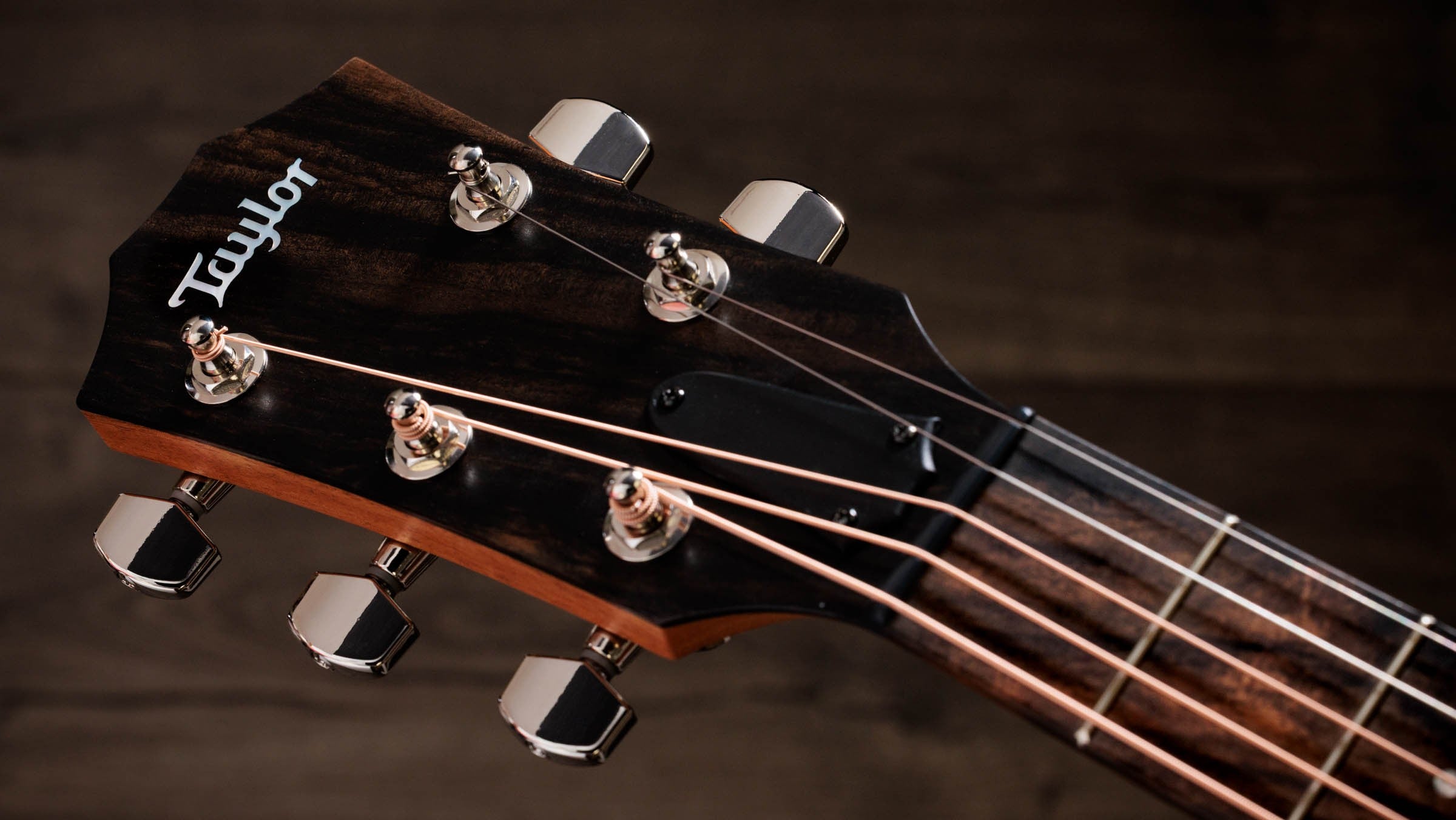 Jacob Collier Jacob Collier Academy 22e 5-String Gitarre 426122