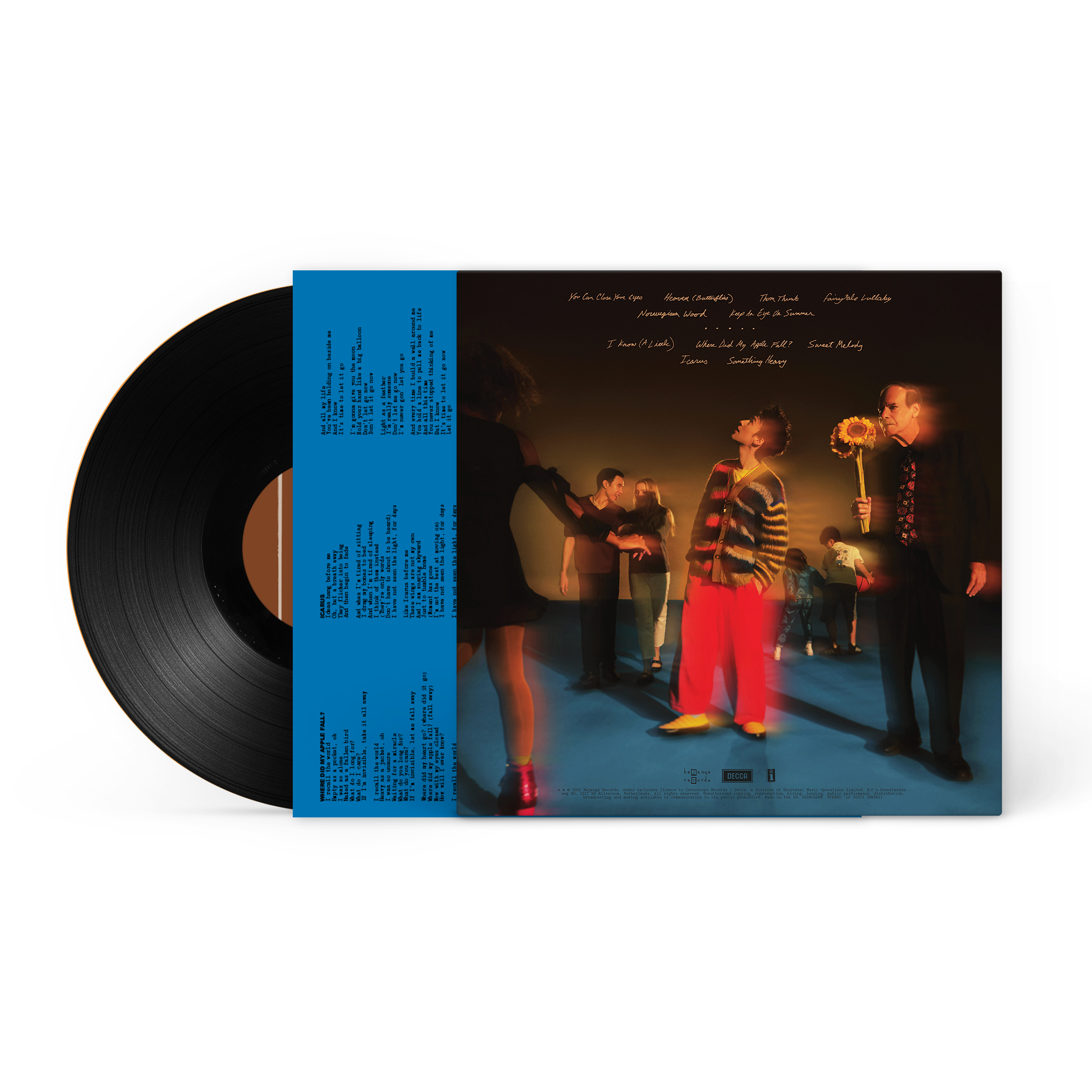 Jacob Collier The Light For Days Vinyl 420834