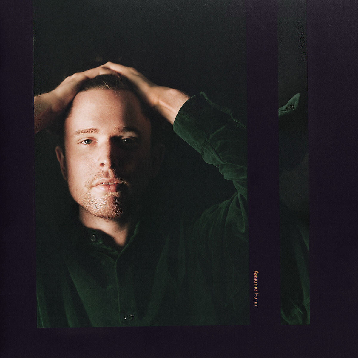 James Blake Assume Form 2LP 351305