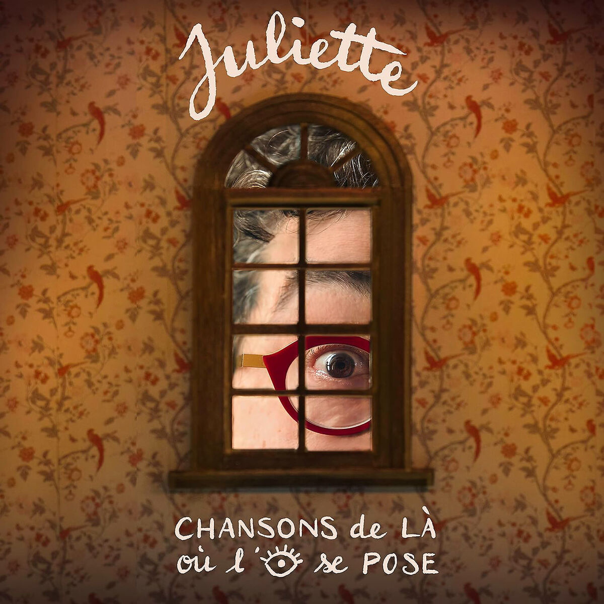 Juliette Chansons de là où l'oeil se pose (2LP) Vinyl LP 455863