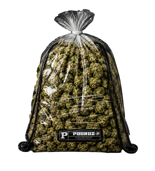 LX - POUNDZ (POUNDZ Bag)