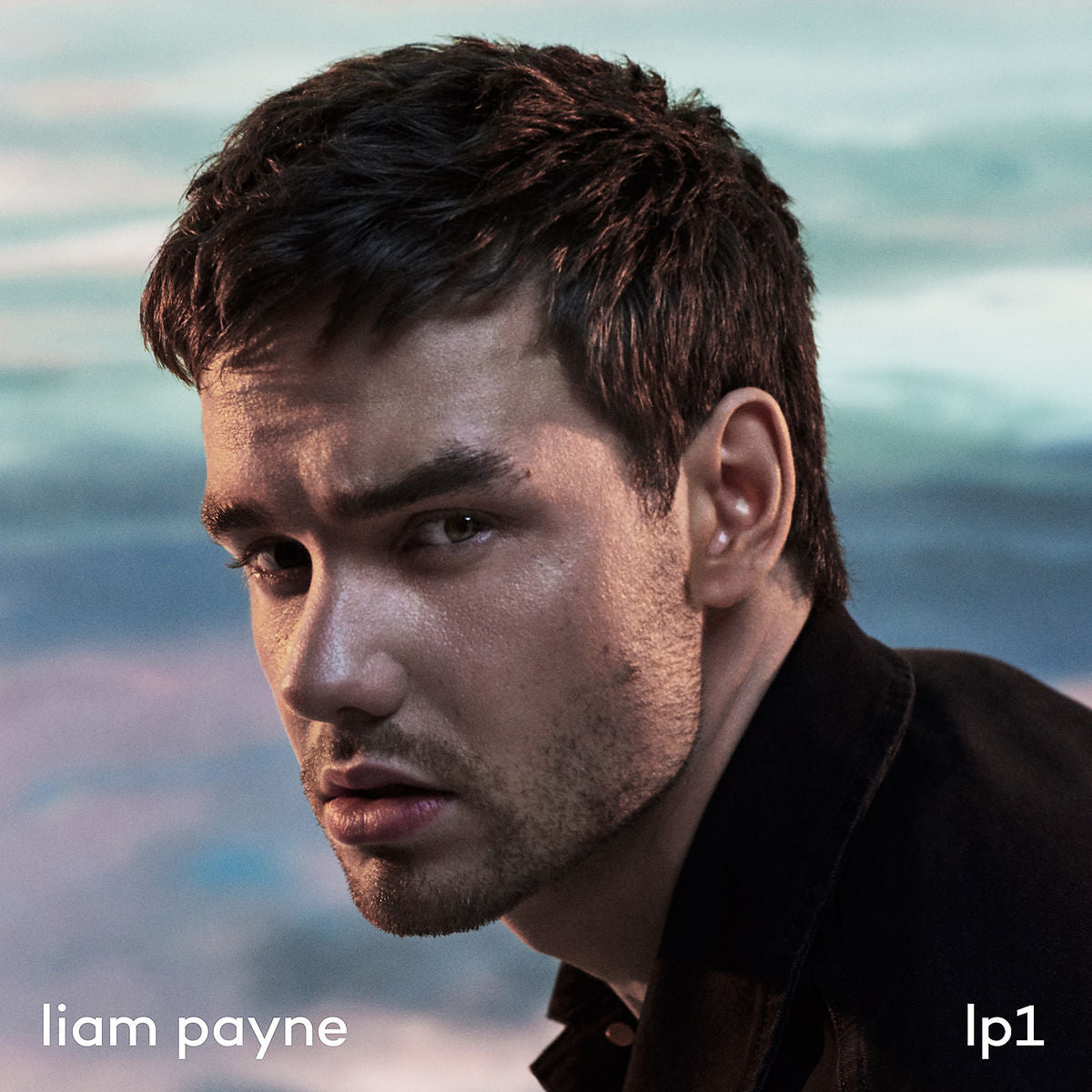 Liam Payne LP1 (Vinyl) Vinyl LP 455963