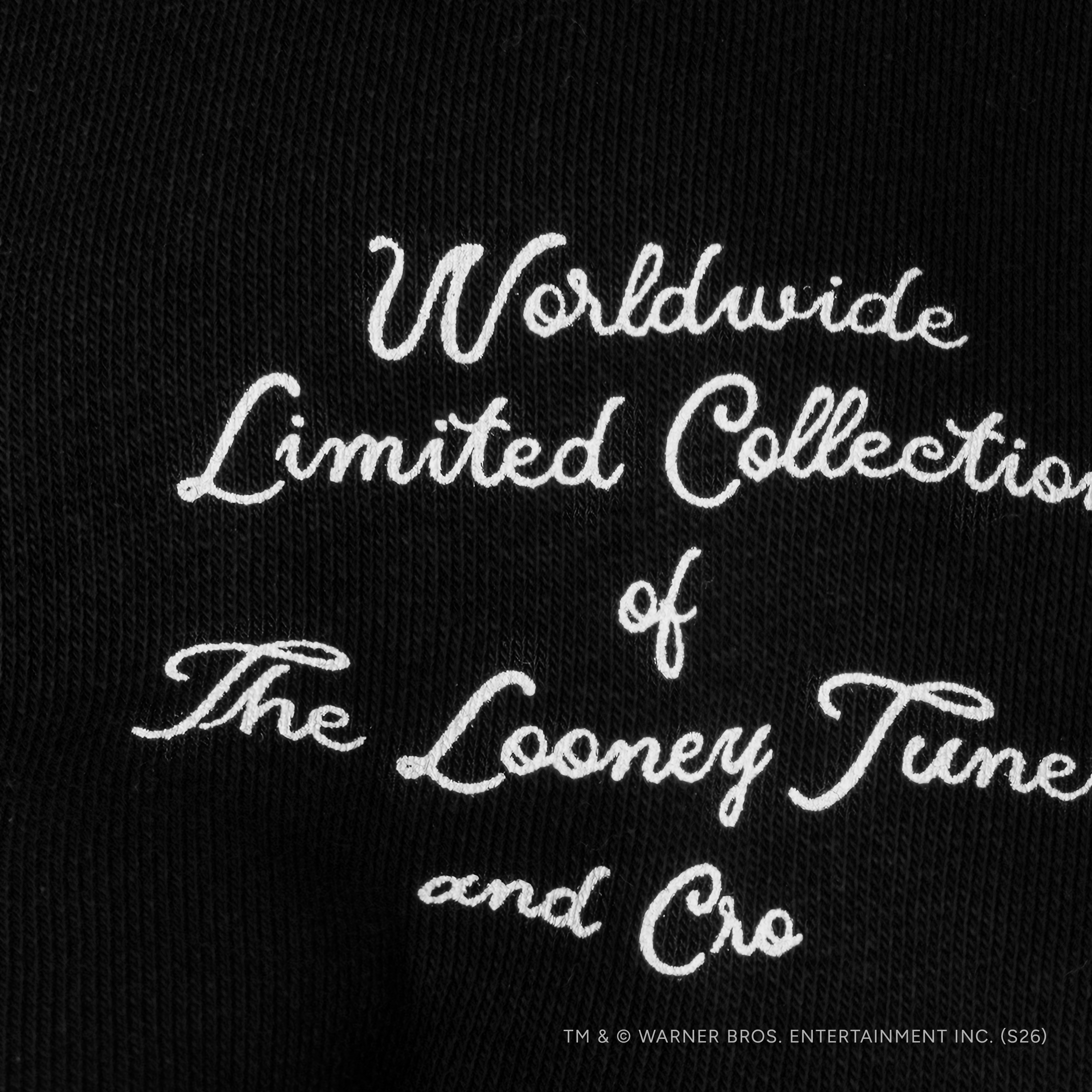 Looney Tunes & Cro Carrot Mic Kapuzenpullover 439759