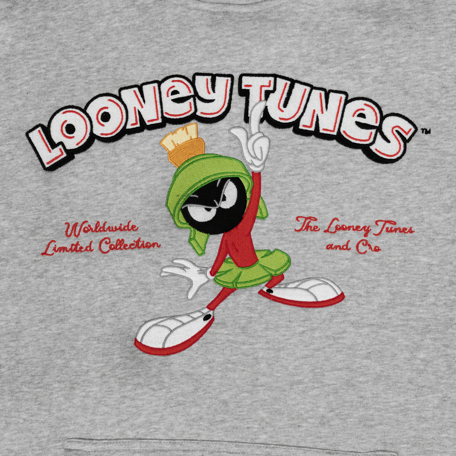 Looney Tunes & Cro Marvin: Just a moment, please Kapuzenpullover 439923