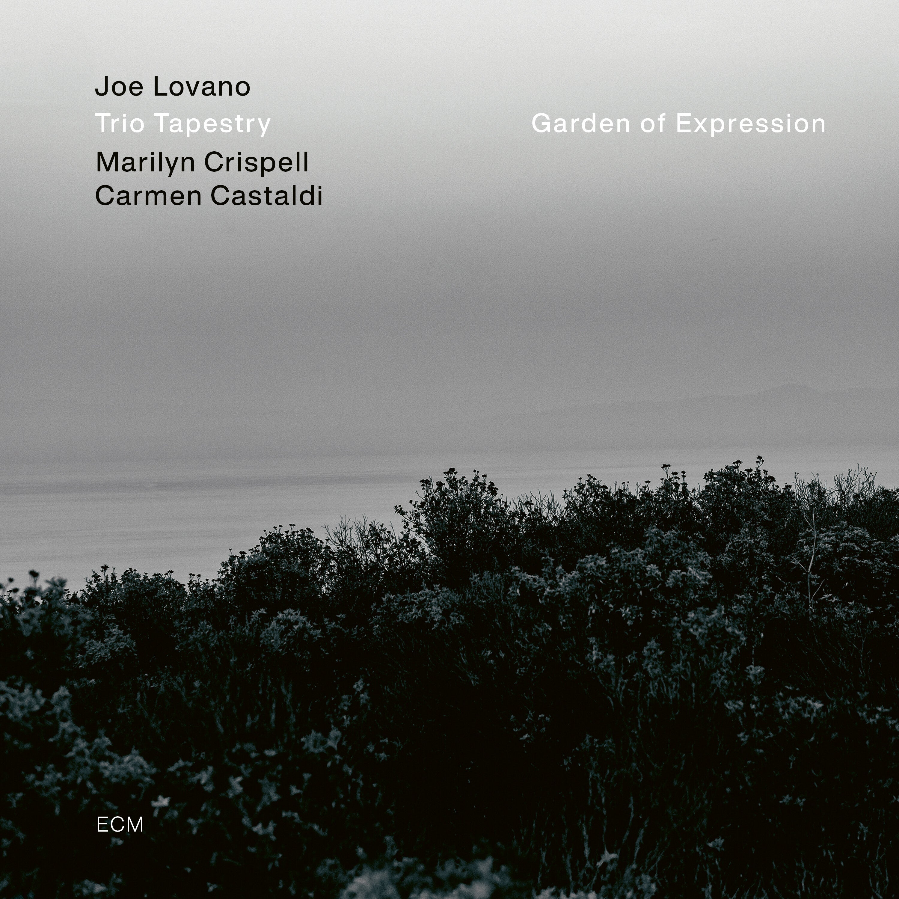 Lovano,Joe/Crispell,Marylin/Castaldi,Carmen Garden of Expression Vinyl 391512