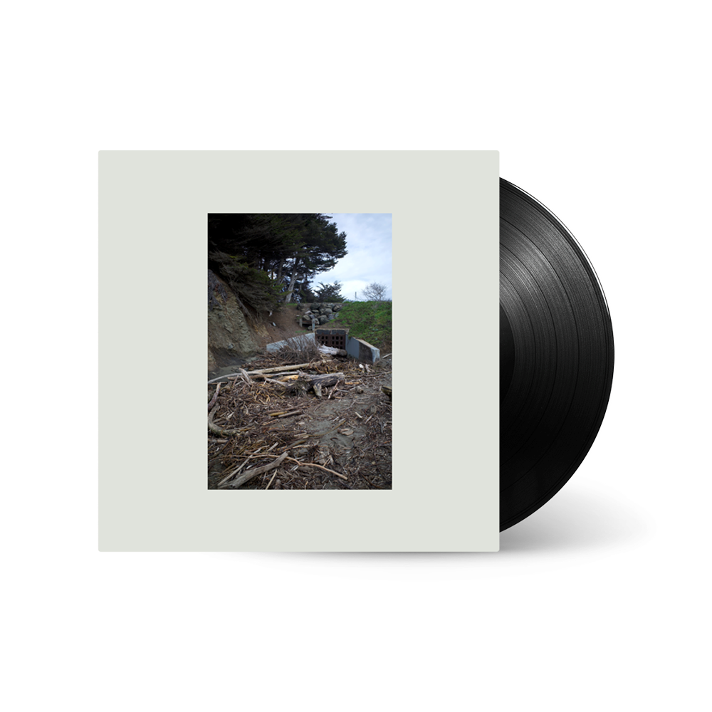 Mac DeMarco Five Easy Hot Dogs  LP 276166