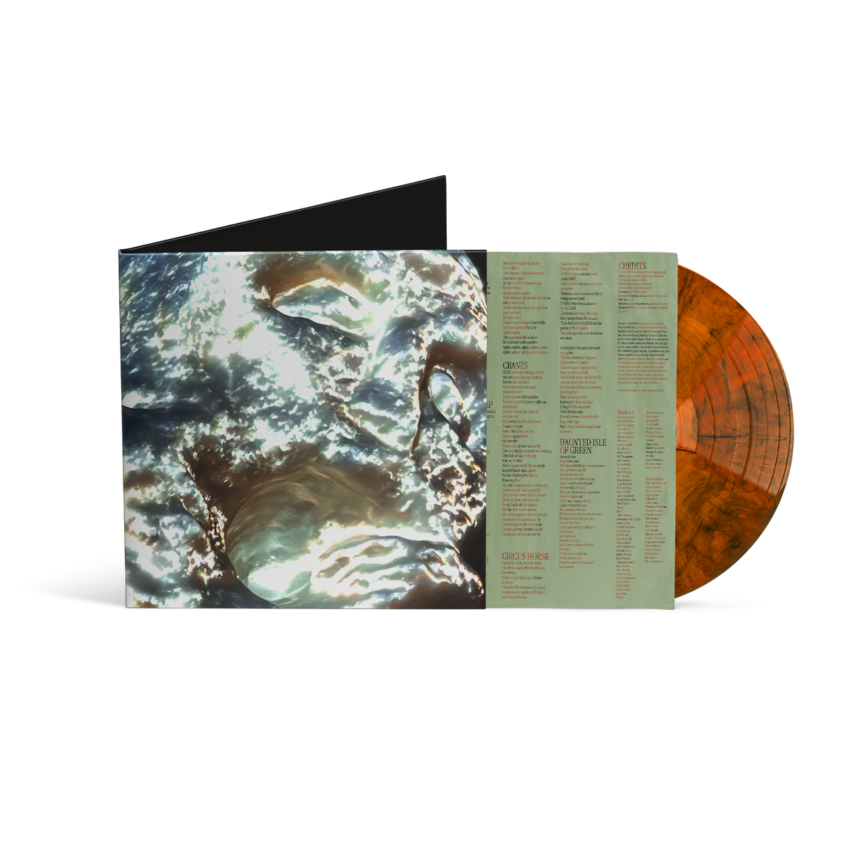 Madra Salach Gorta Molten Edition LP 462209