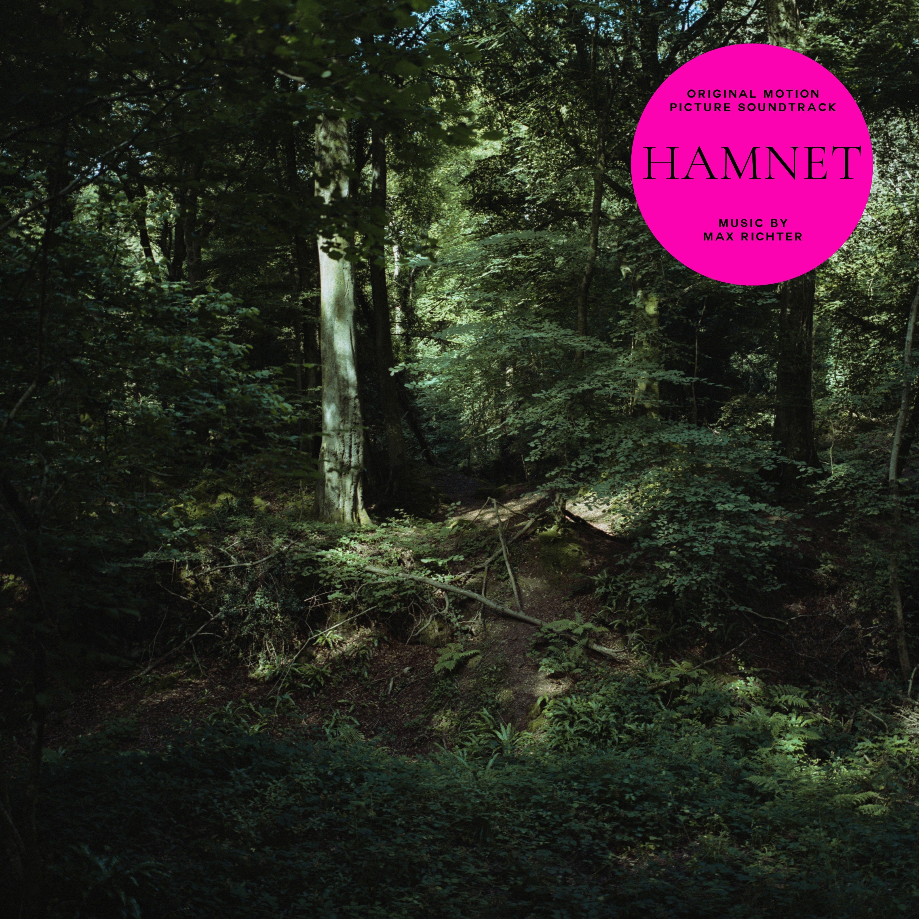 Max Richter Hamnet Exklusive 2LP Forest Green + alternatives Cover 423314