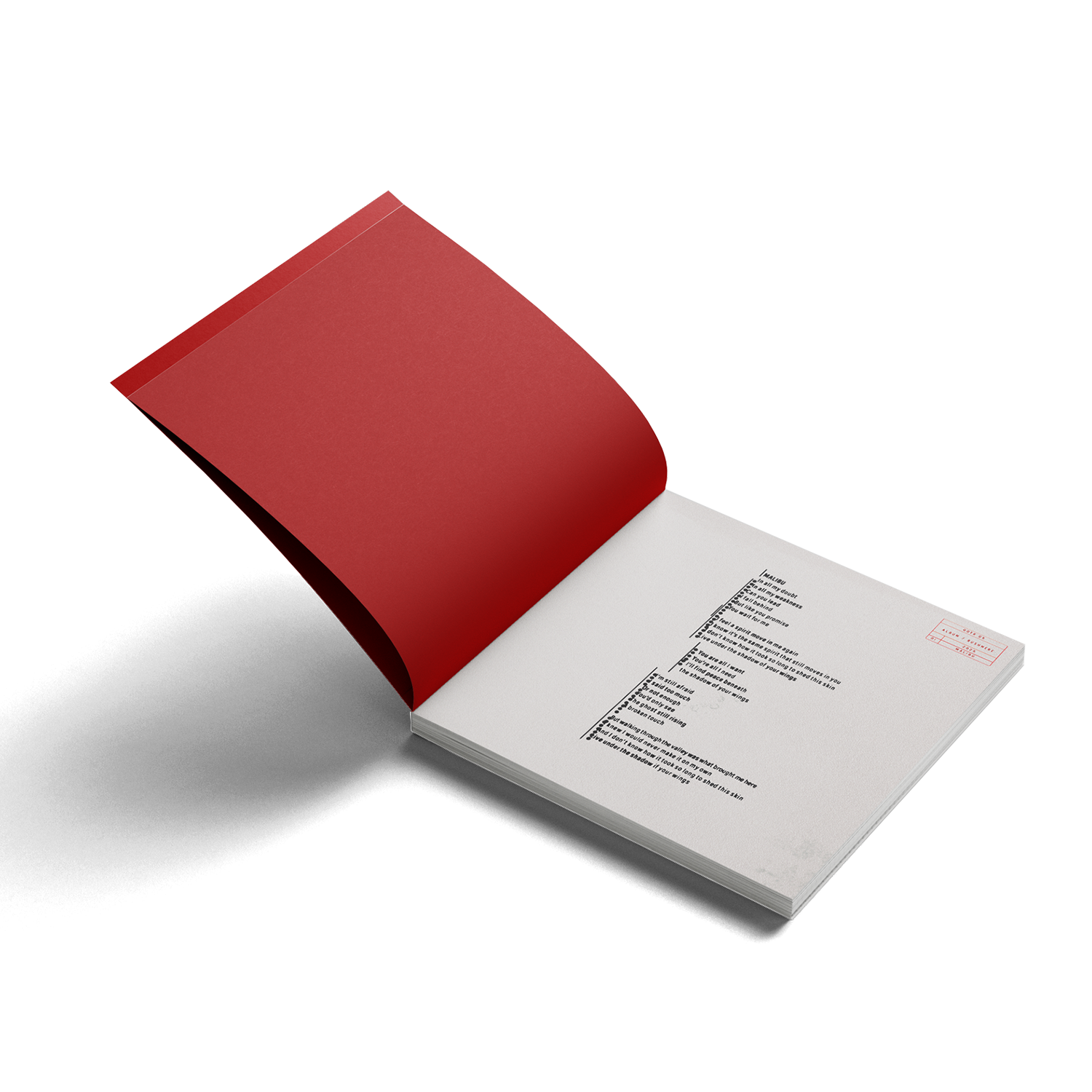 Mumford & Sons RUSHMERE 'Almost Places Recycled Red Vinyl' Deluxe LP 393531