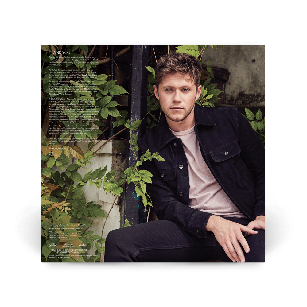 Niall Horan Flicker  Blue & White Swirl LP 424124