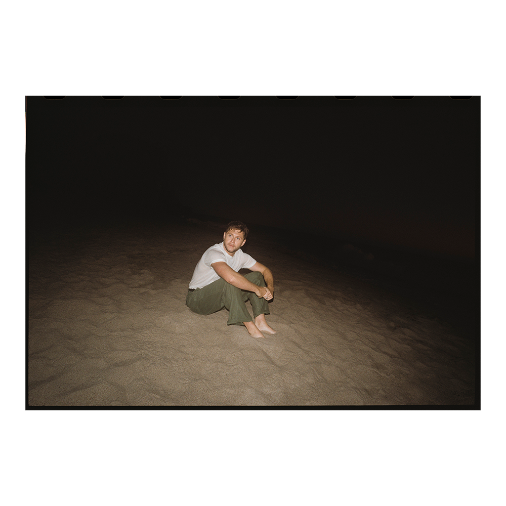 Niall Horan Moonlight Beach Poster Poster 438749