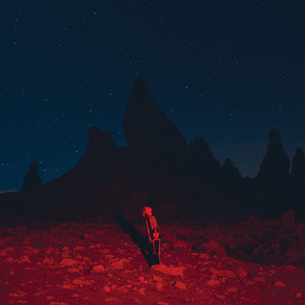 Phoebe Bridgers - Punisher (Black Vinyl LP - Gatefold)