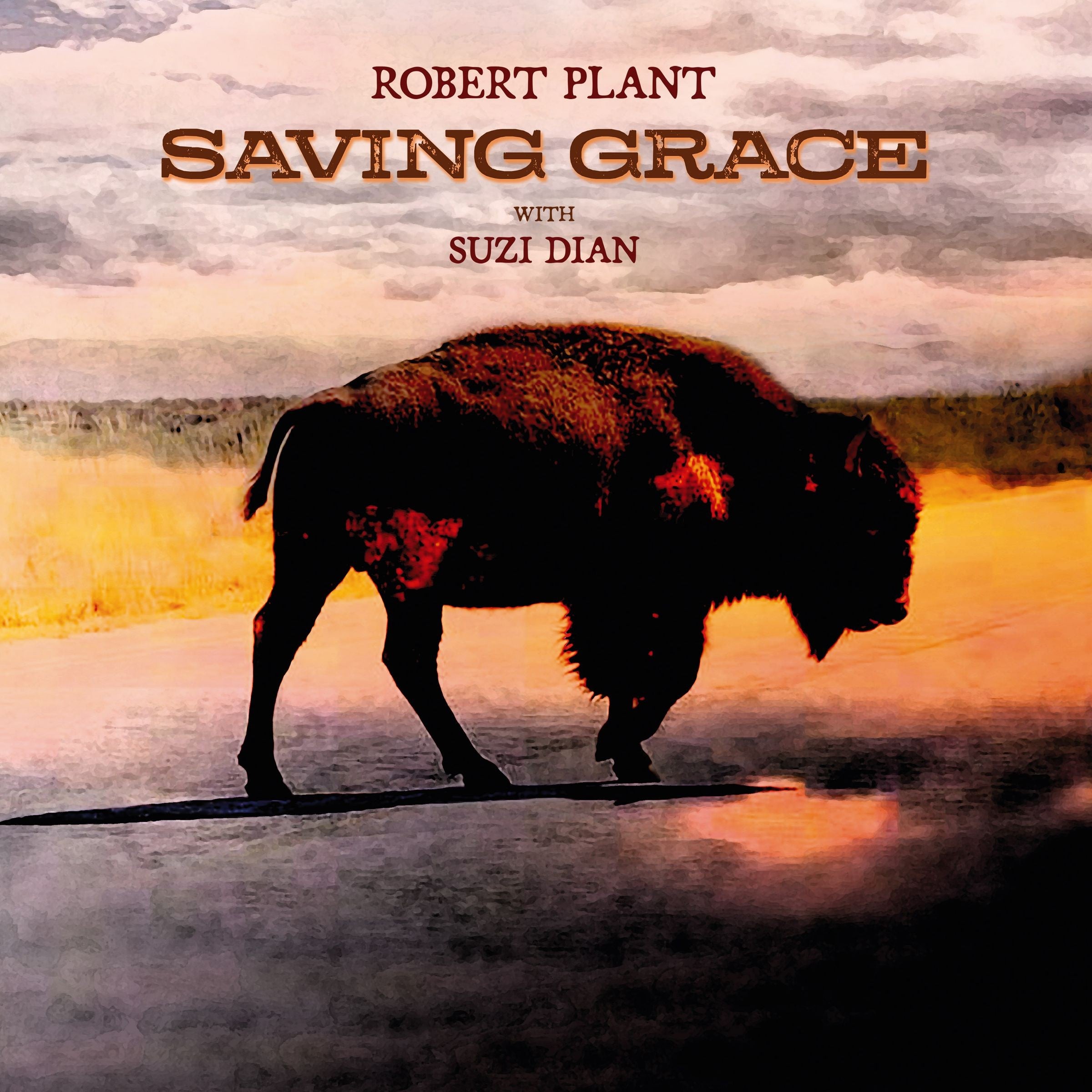 Robert Plant Saving Grace Black Vinyl LP 431358