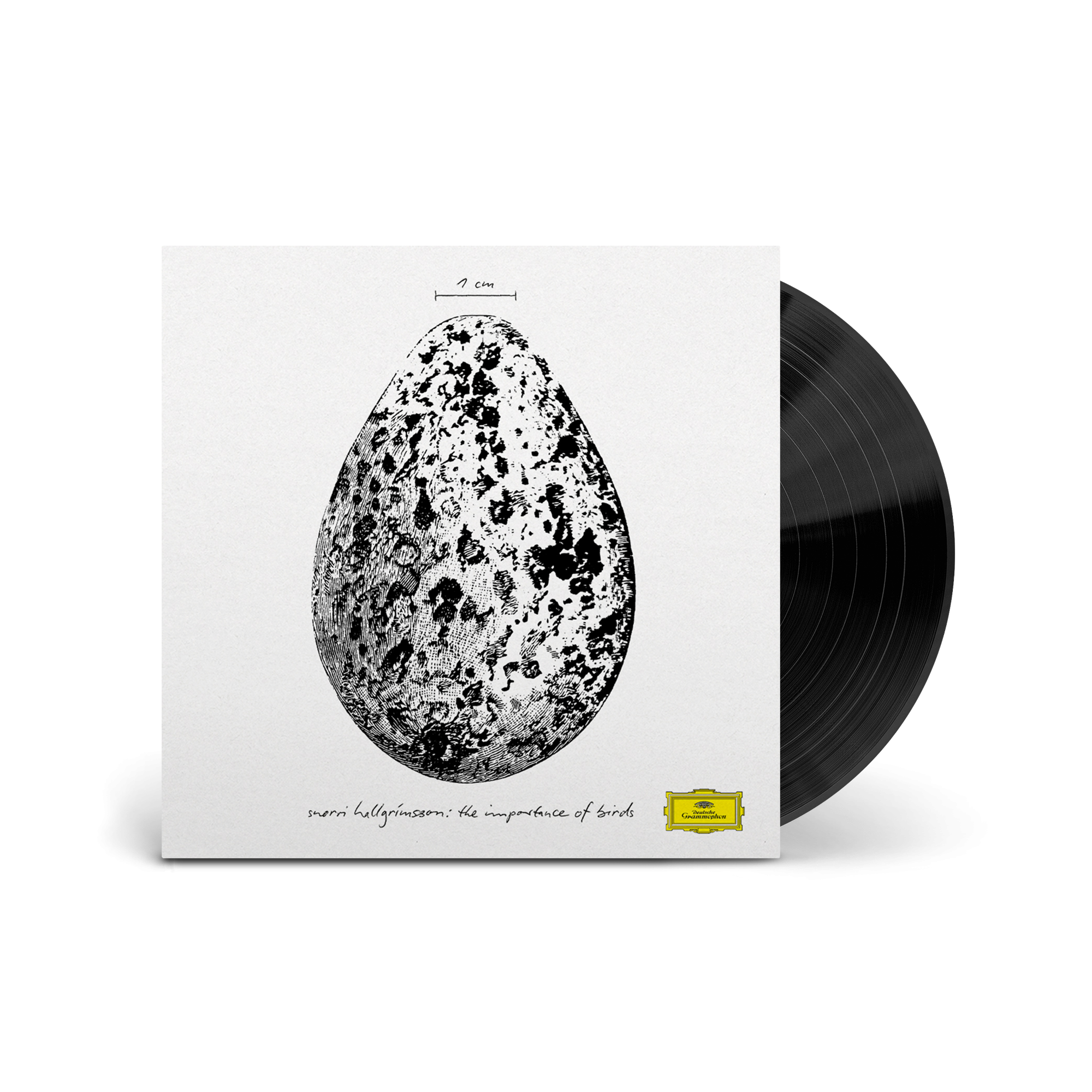 Snorri Hallgrímsson The Importance of Birds  1LP 411865