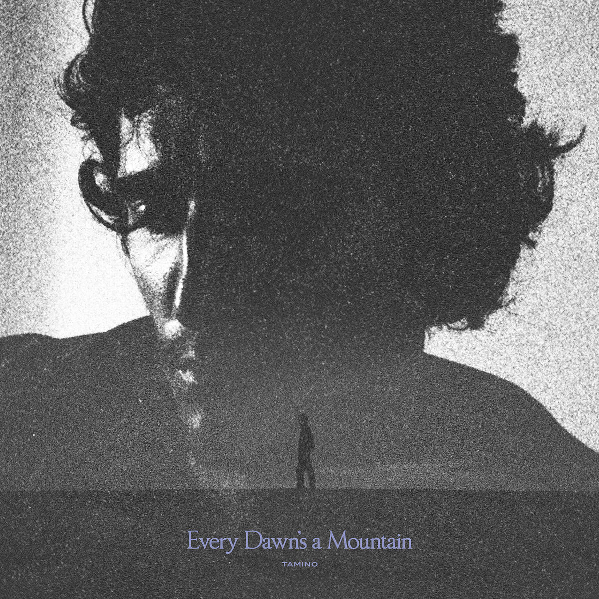 Tamino Every Dawn's A Mountain (Ltd. Edt.) Vinyl LP 456049