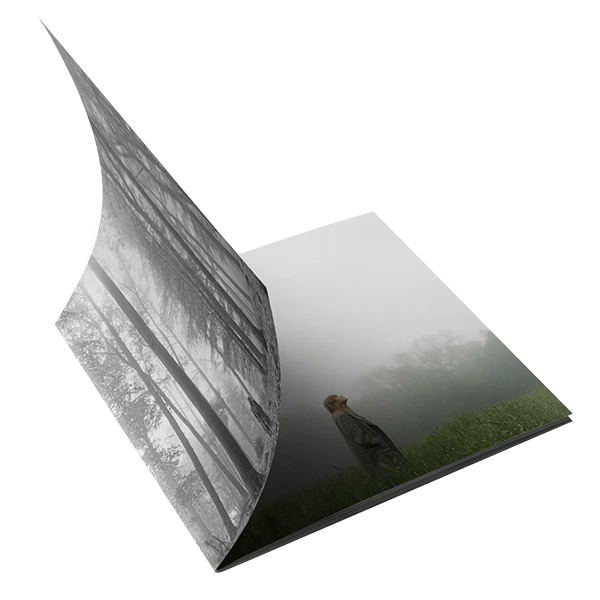 Taylor Swift 1. The "In The Trees" Edition Deluxe CD CD 359935