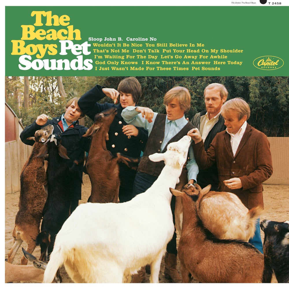 The Beach Boys The Pet Sounds Sessions Highlights  Exclusive Limited Zoetrope Vinyl LP 439343