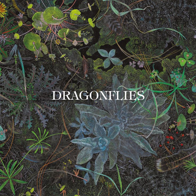 The Dragonflies Dragonflies LP 453949