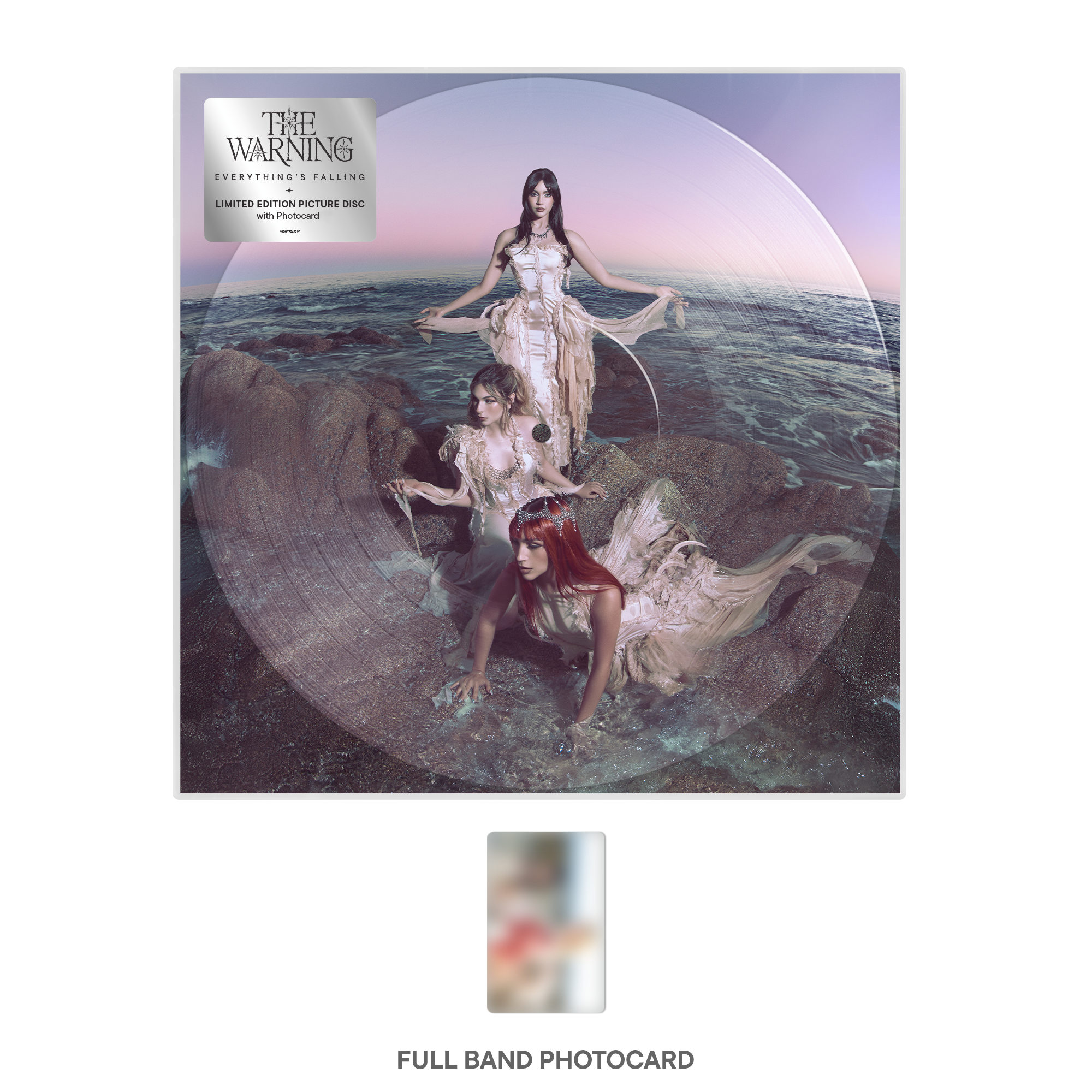 The Warning Everything’s Falling Picture Disc LP 449360
