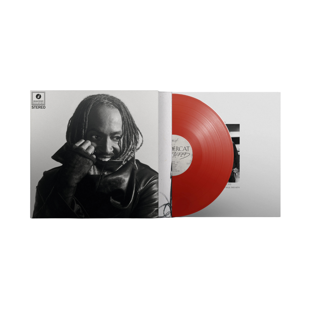 Thundercat Distracted Red Vinyl LP + Poster 439161