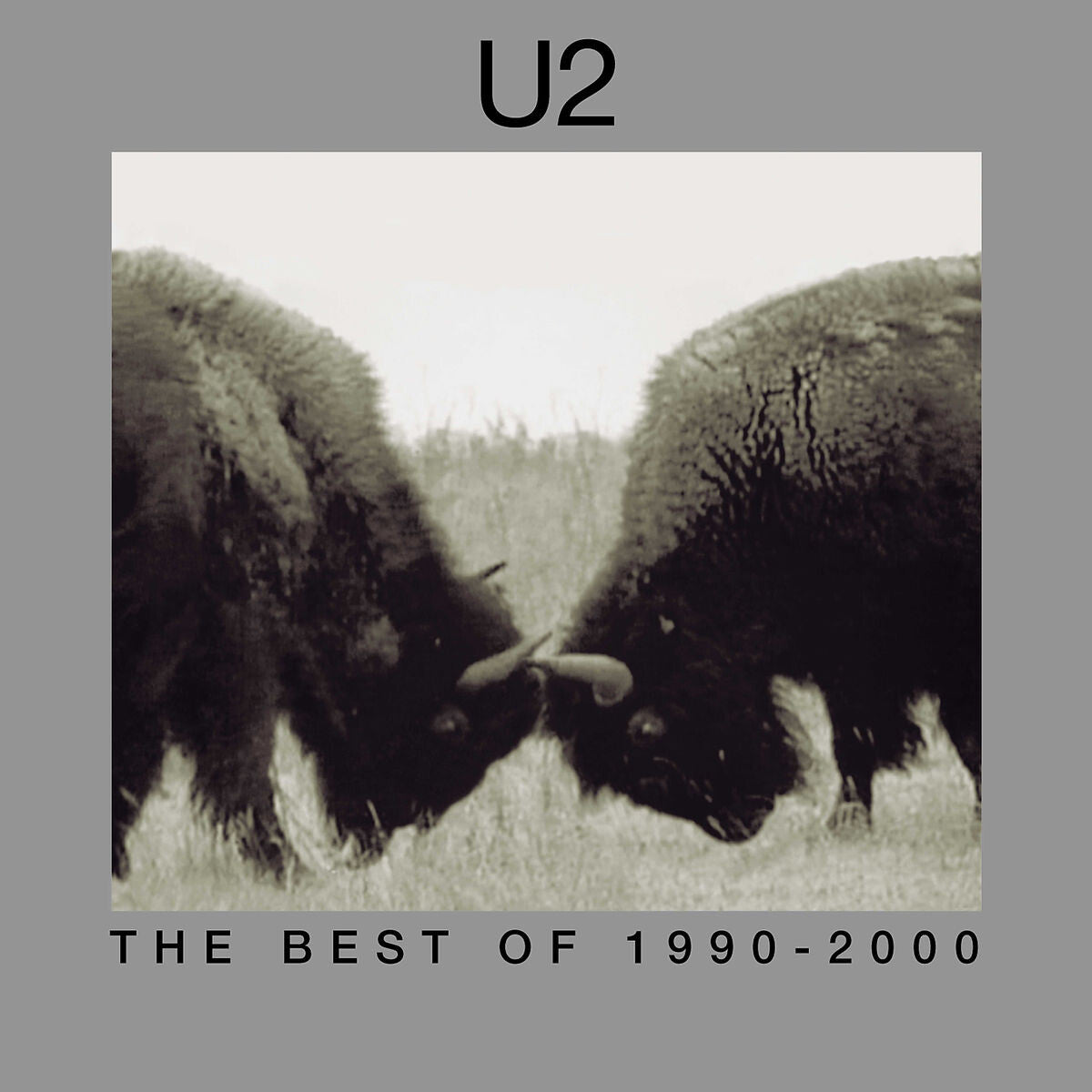U2 The Best Of 1990-2000 2LP 273842